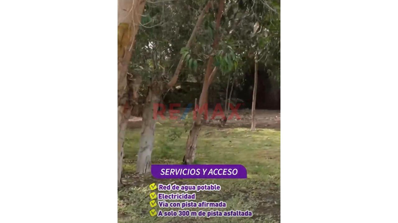 Terreno En Venta En Chosica De 1,350 M² Con Proyecto De Bungalow - 2