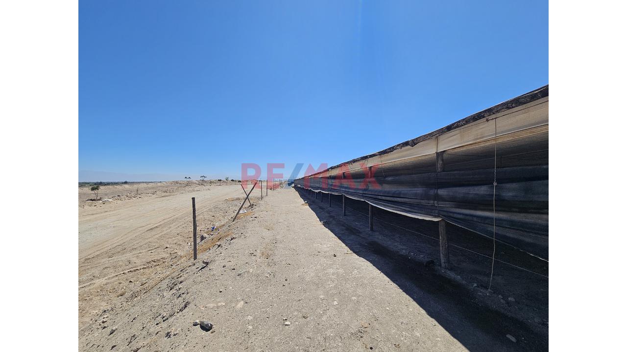 Venta De Terreno Con Galpon En El Pedregal Majes - 7