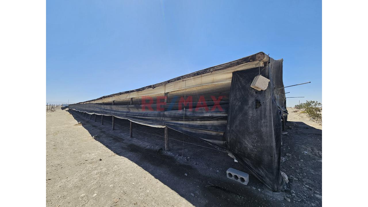 Venta De Terreno Con Galpon En El Pedregal Majes - 9