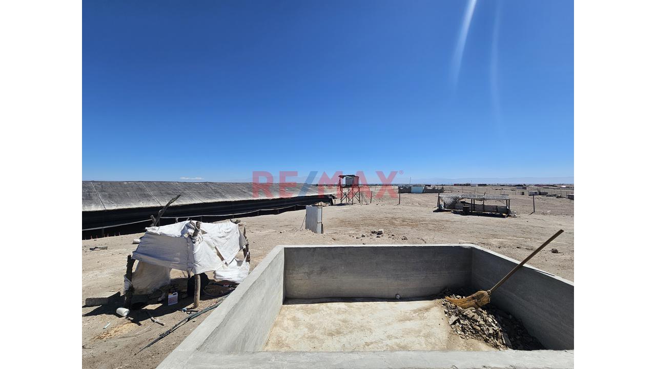 Venta De Terreno Con Galpon En El Pedregal Majes - 4