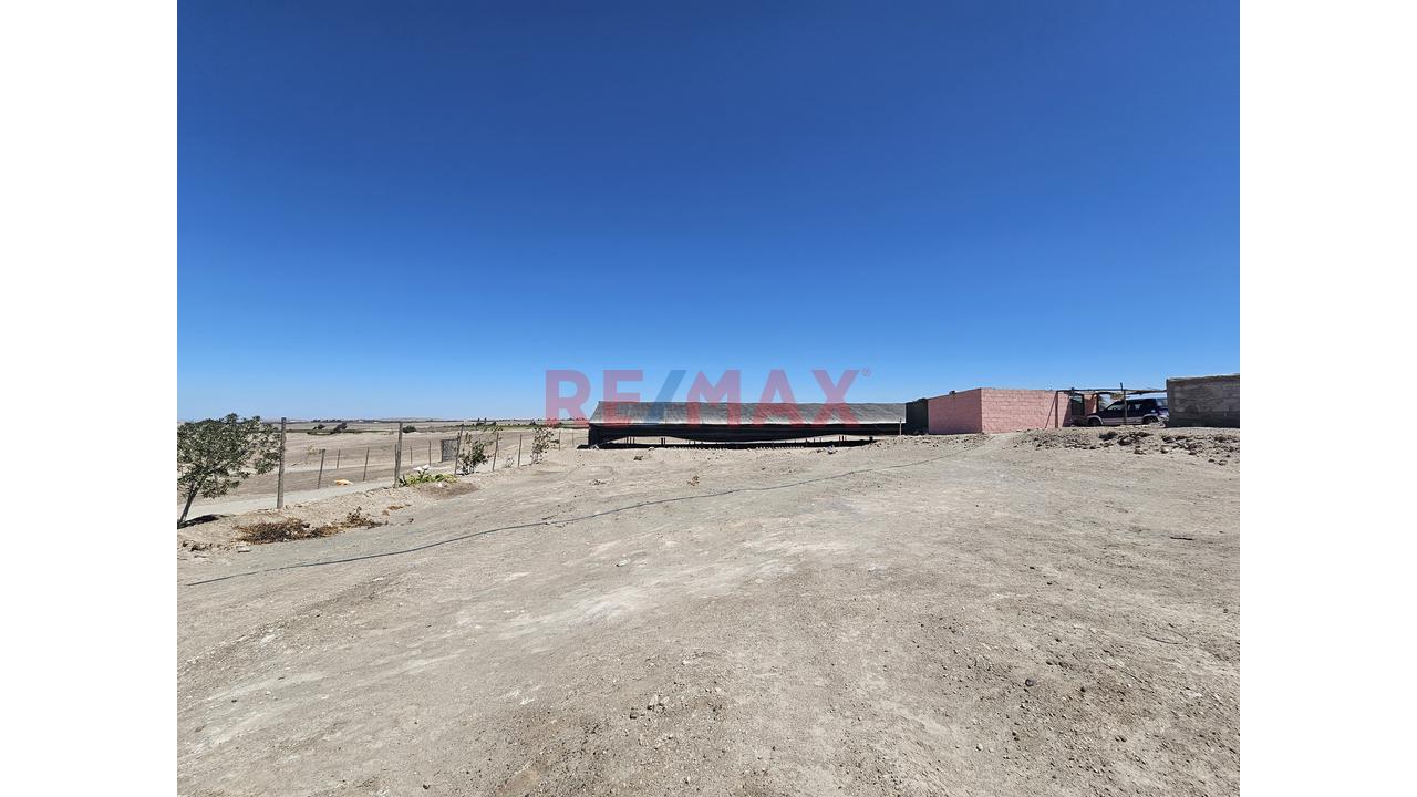 Venta De Terreno Con Galpon En El Pedregal Majes - 3