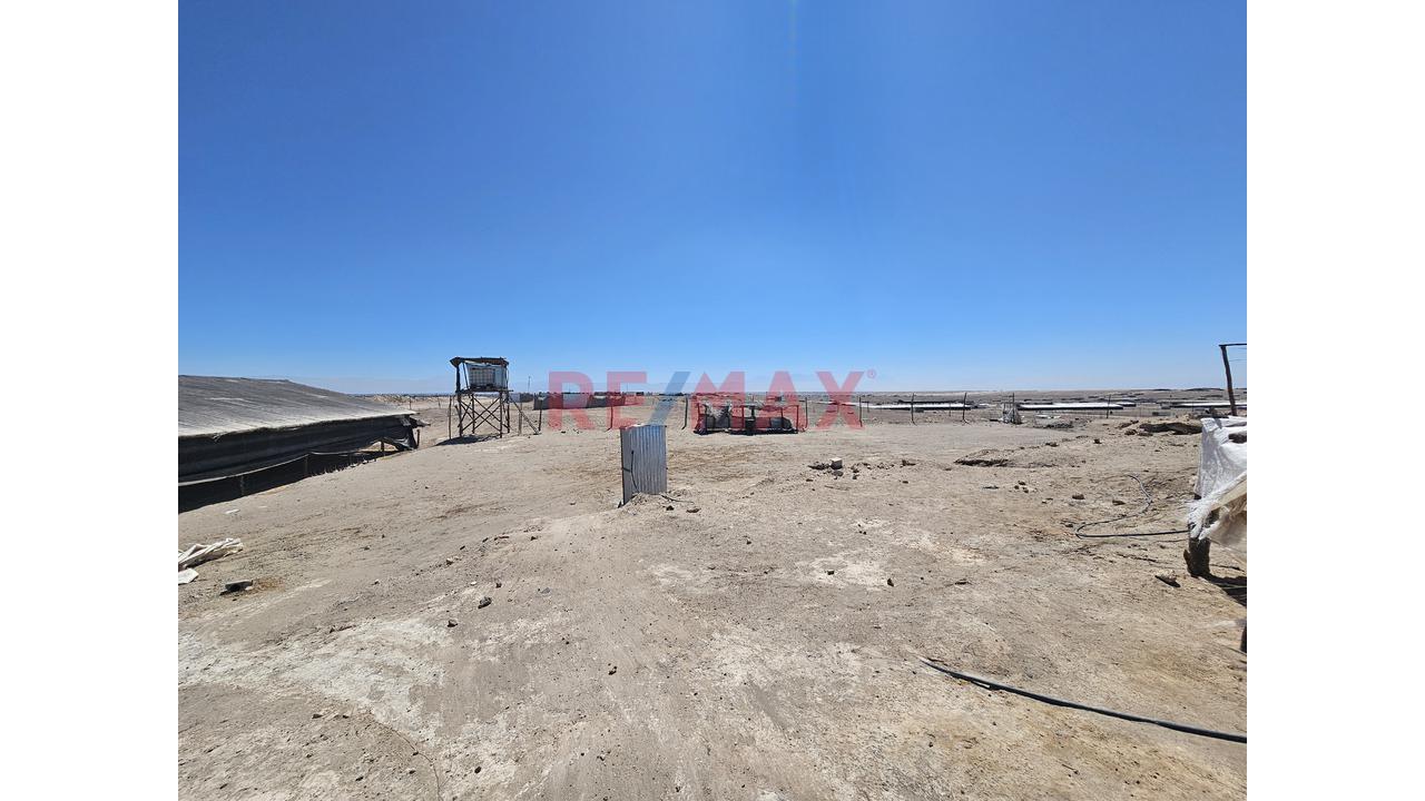 Venta De Terreno Con Galpon En El Pedregal Majes - 6