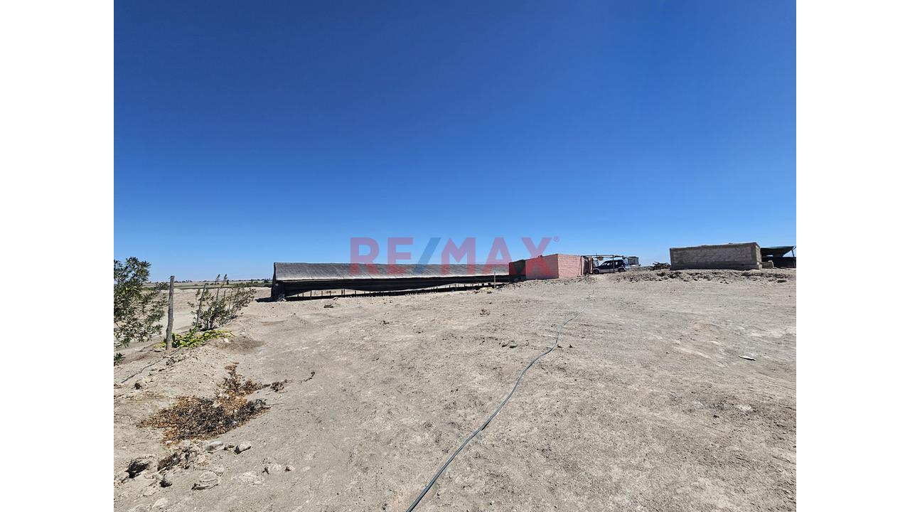 Venta De Terreno Con Galpon En El Pedregal Majes - 2