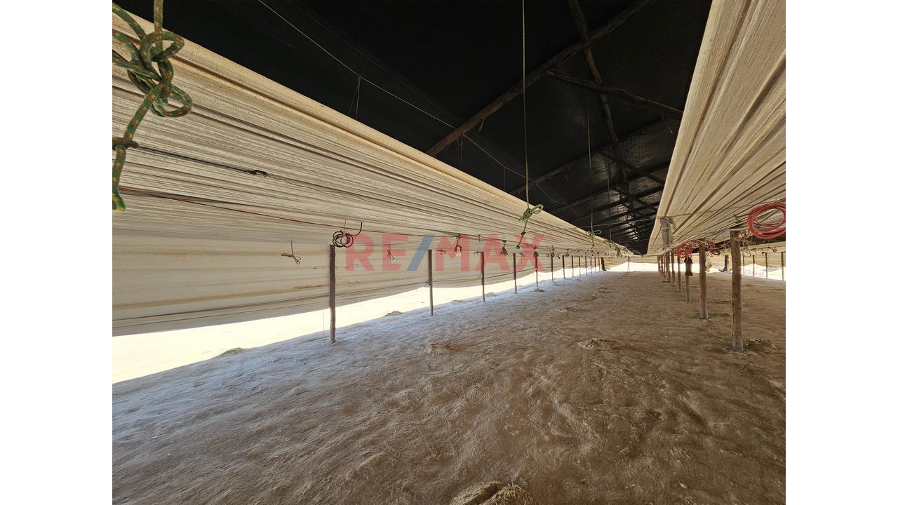 Venta De Terreno Con Galpon En El Pedregal Majes - 8