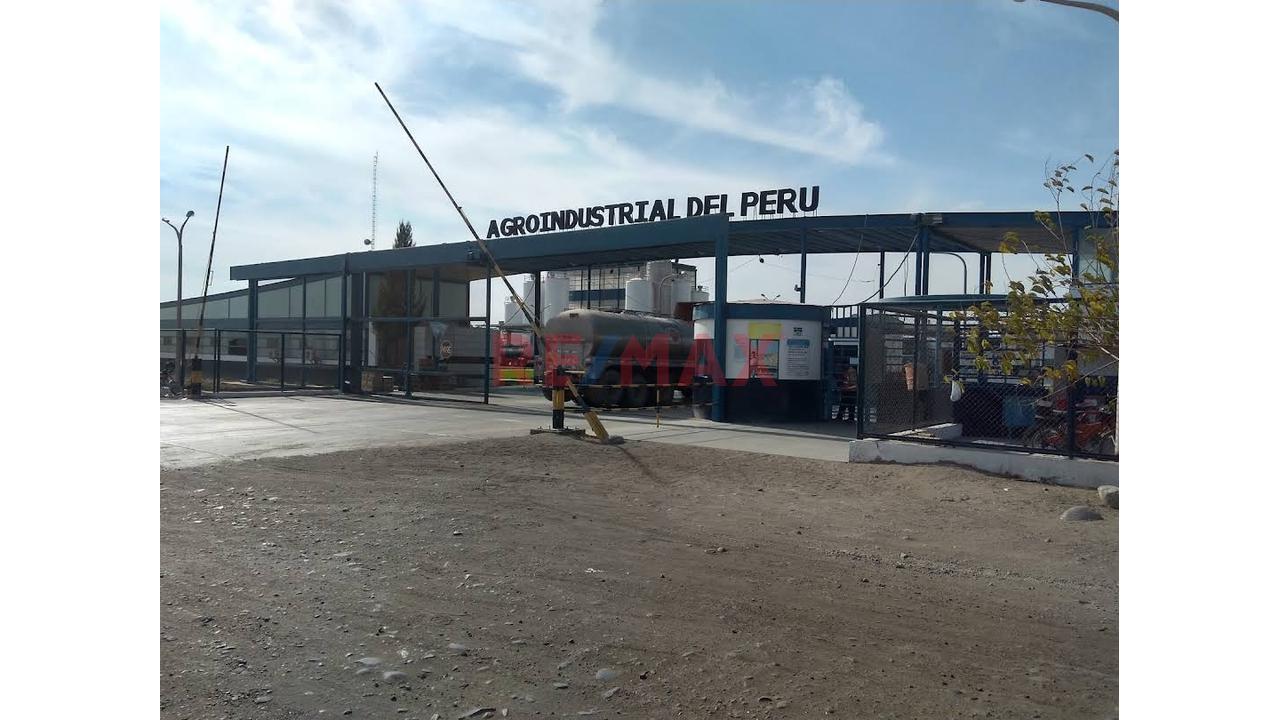 Venta De Terreno Con Galpon En El Pedregal Majes - 10