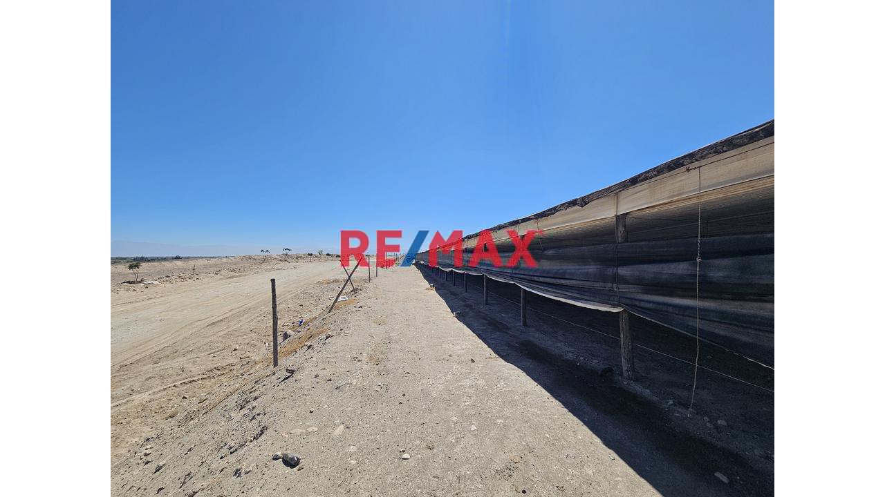 Venta De Terreno Con Galpon En El Pedregal Majes - 1