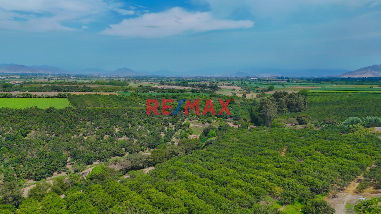 🌿 Invierte En Chancay : Lote De Campo De 352.68 M² En Proyecto Ecoresidencial - 1