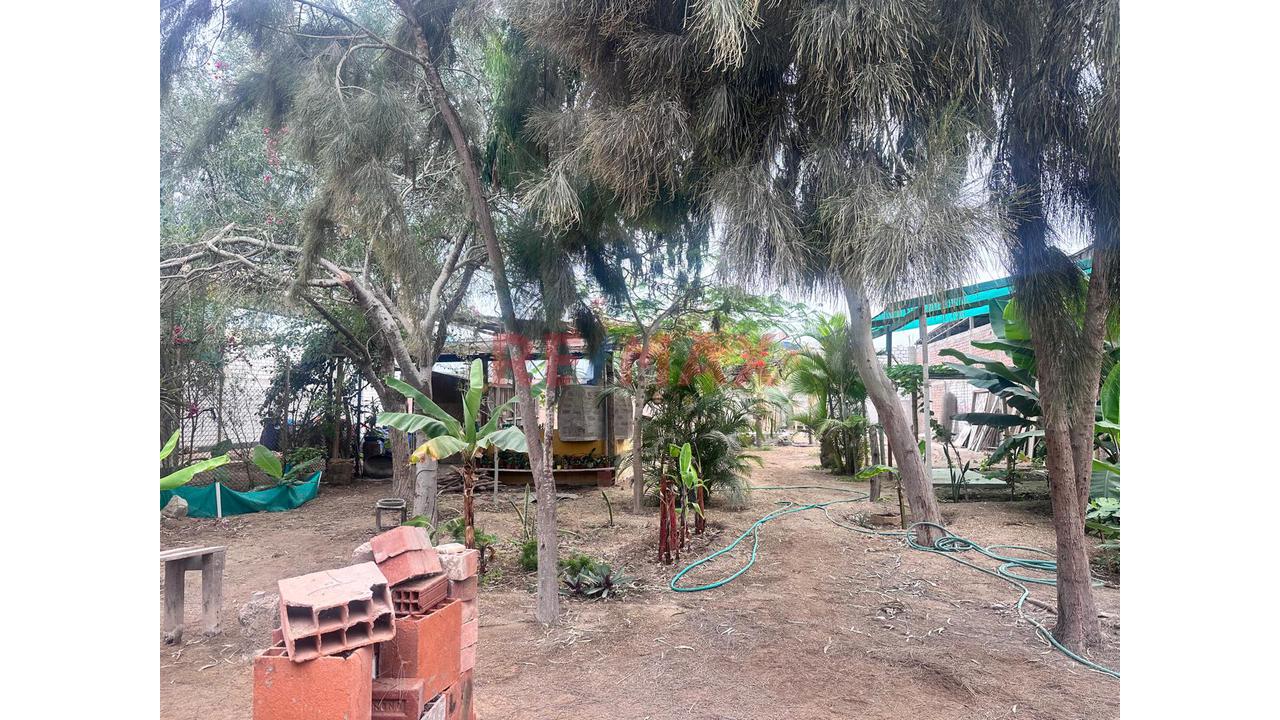 🏭 ¡Vendo Amplio Local Industrial De 3,000 M² En Chorrillos! — foto 11
