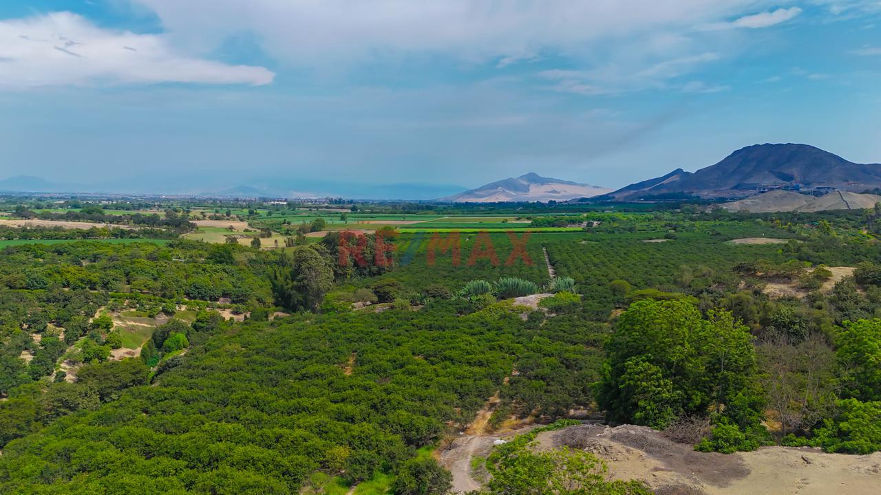 💰 Tu Próxima Inversión En Terreno Podría Estar En Chancay | Lote De 350.09 M² - 7