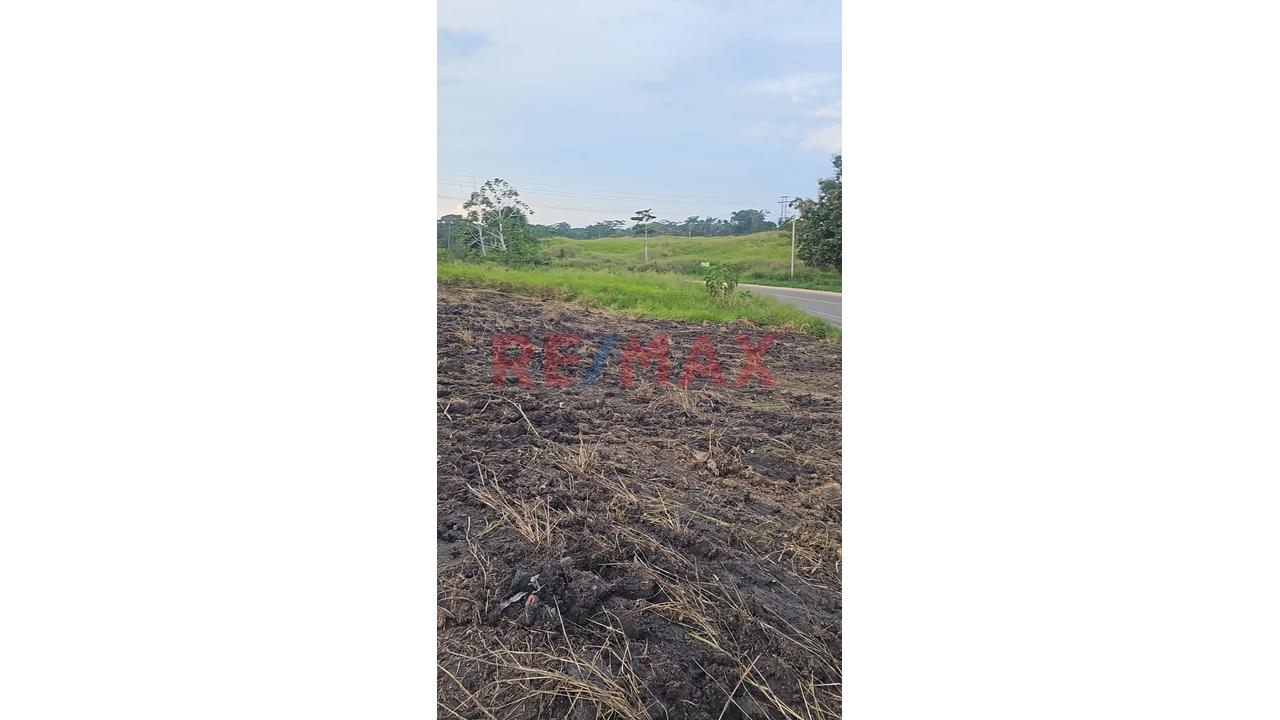 Terreno Estratégico En Yurimaguas – Ideal Para Proyectos De Gran Envergadura - 7
