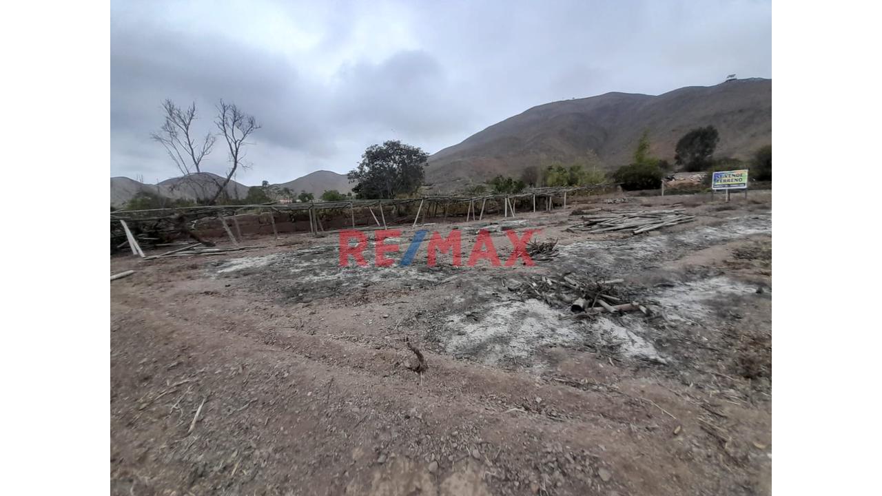 Vendo Terreno En Santa Cruz De Flores - Cerca A La Plaza De Armas - Cañete - 1