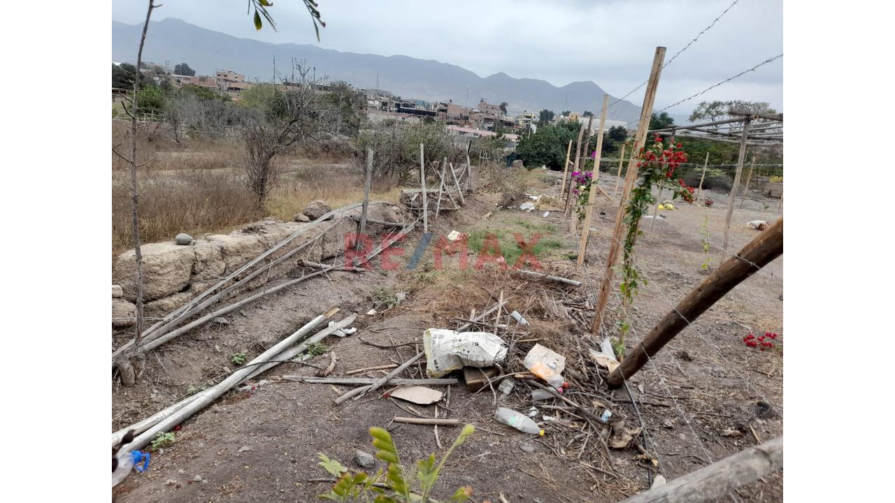 Vendo Terreno En Santa Cruz De Flores - Cerca A La Plaza De Armas - Cañete - 7