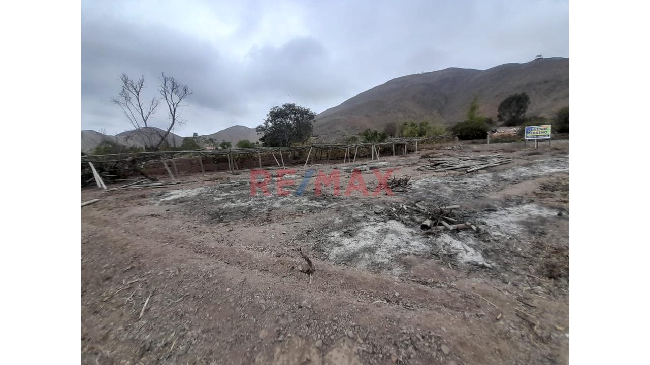 Vendo Terreno En Santa Cruz De Flores - Cerca A La Plaza De Armas - Cañete - 9