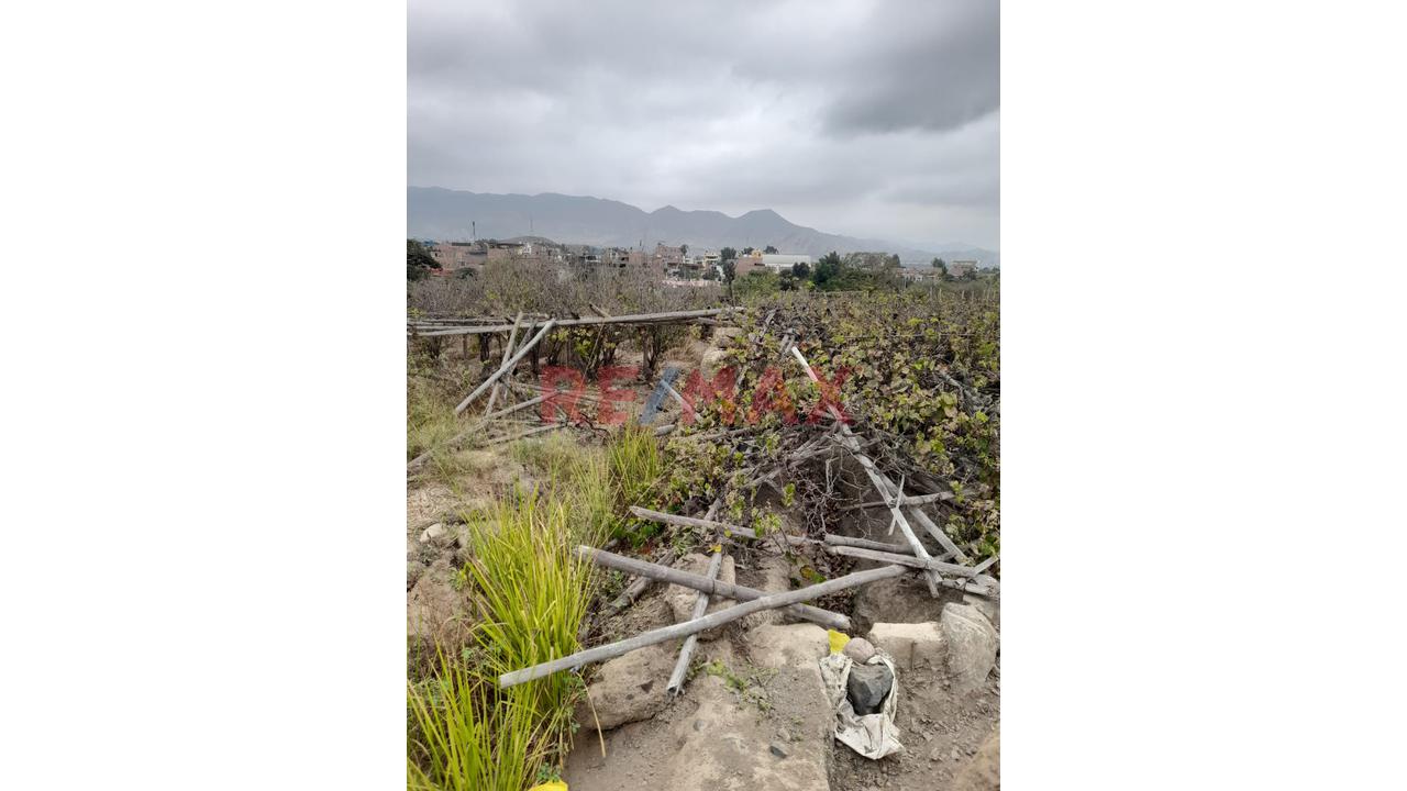 Vendo Terreno En Santa Cruz De Flores - Cañete - 8