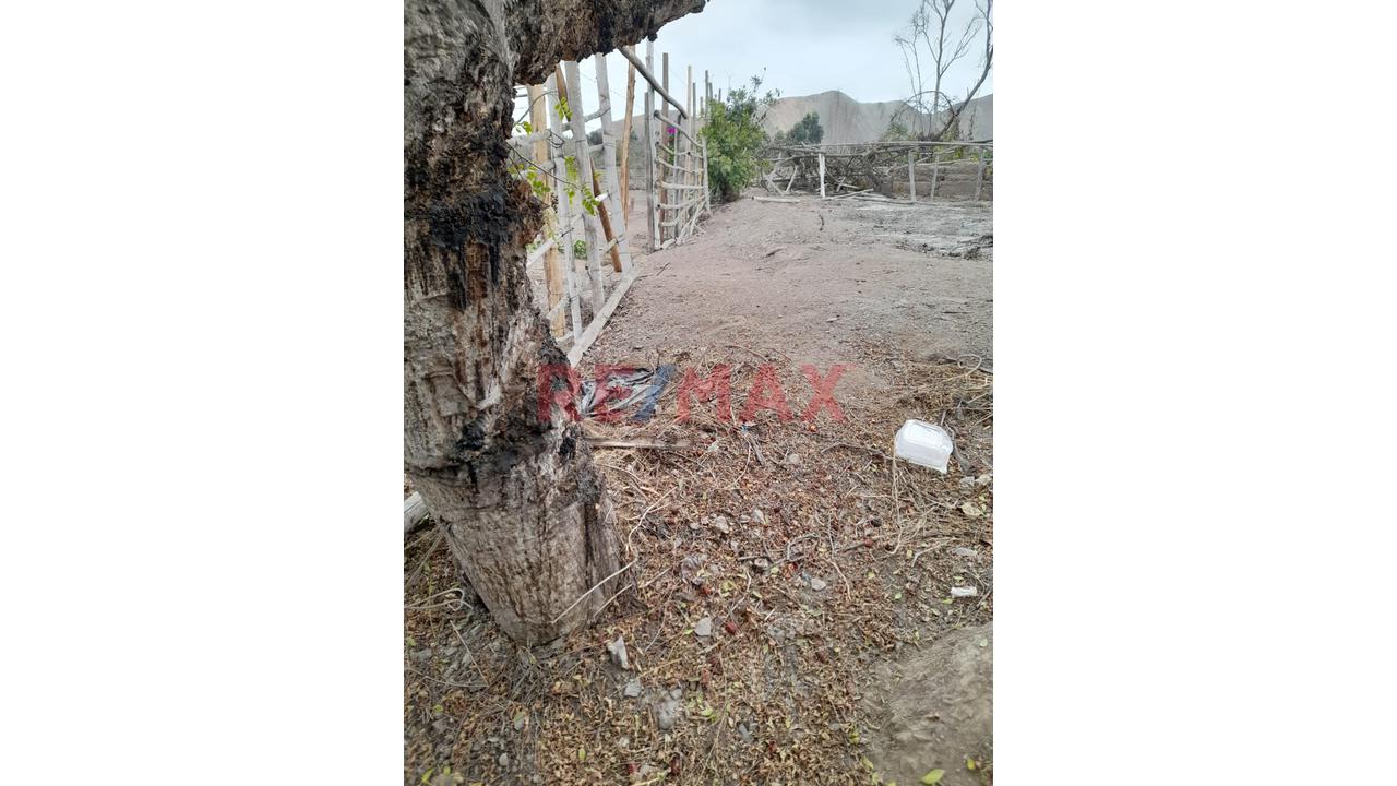 Vendo Terreno En Santa Cruz De Flores - Cañete - 5