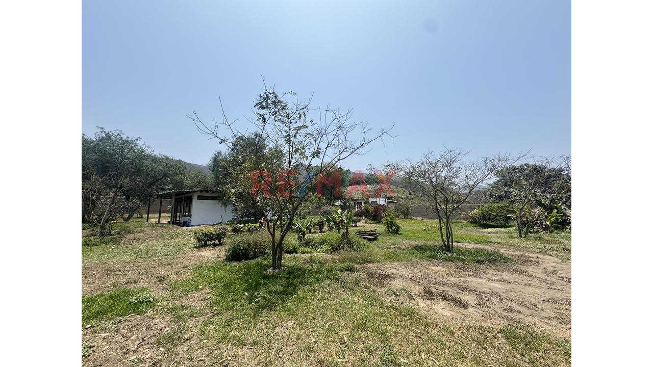 Terreno En Venta En Pachacámac – 2,981 M² - 5