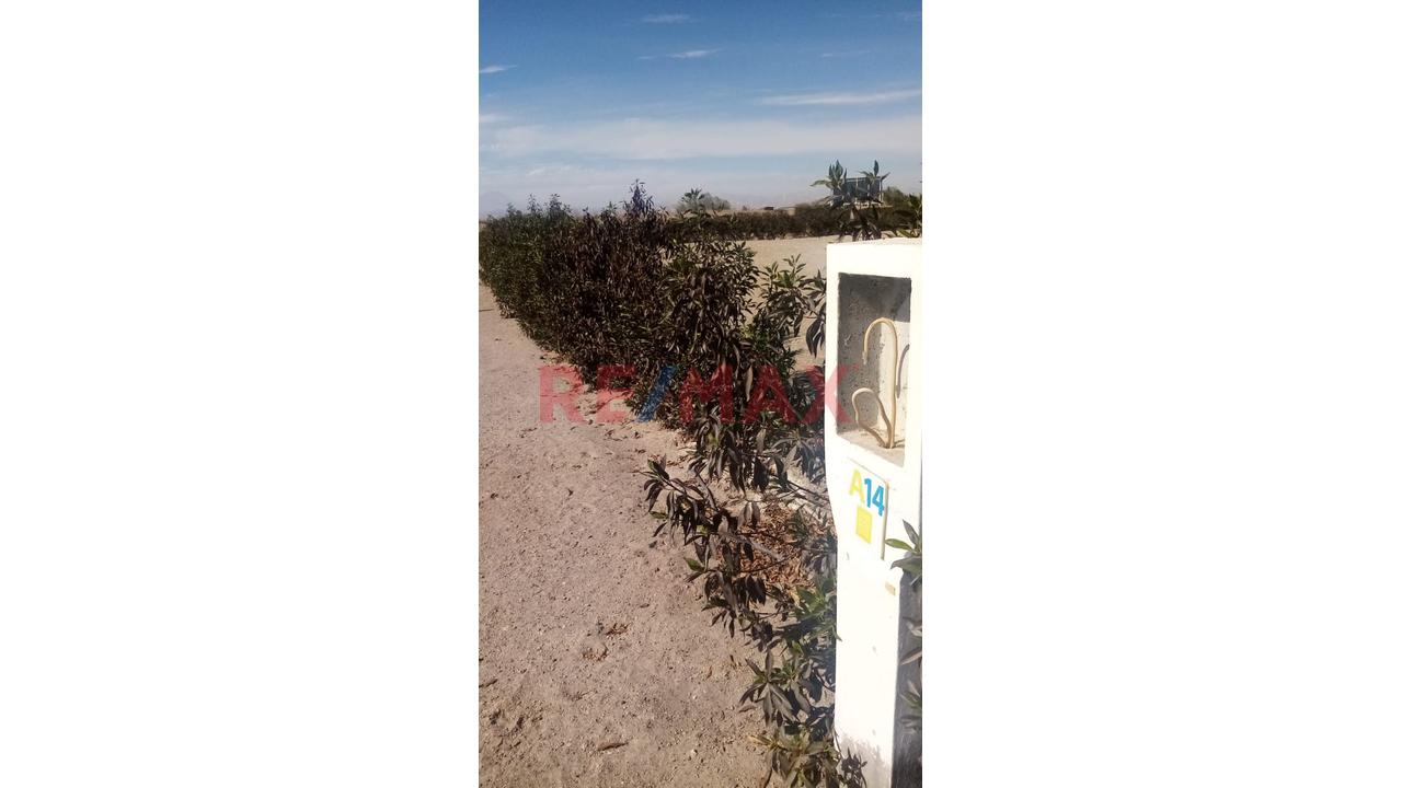 Terreno En Hacienda La Joya Primera Etapa - 4