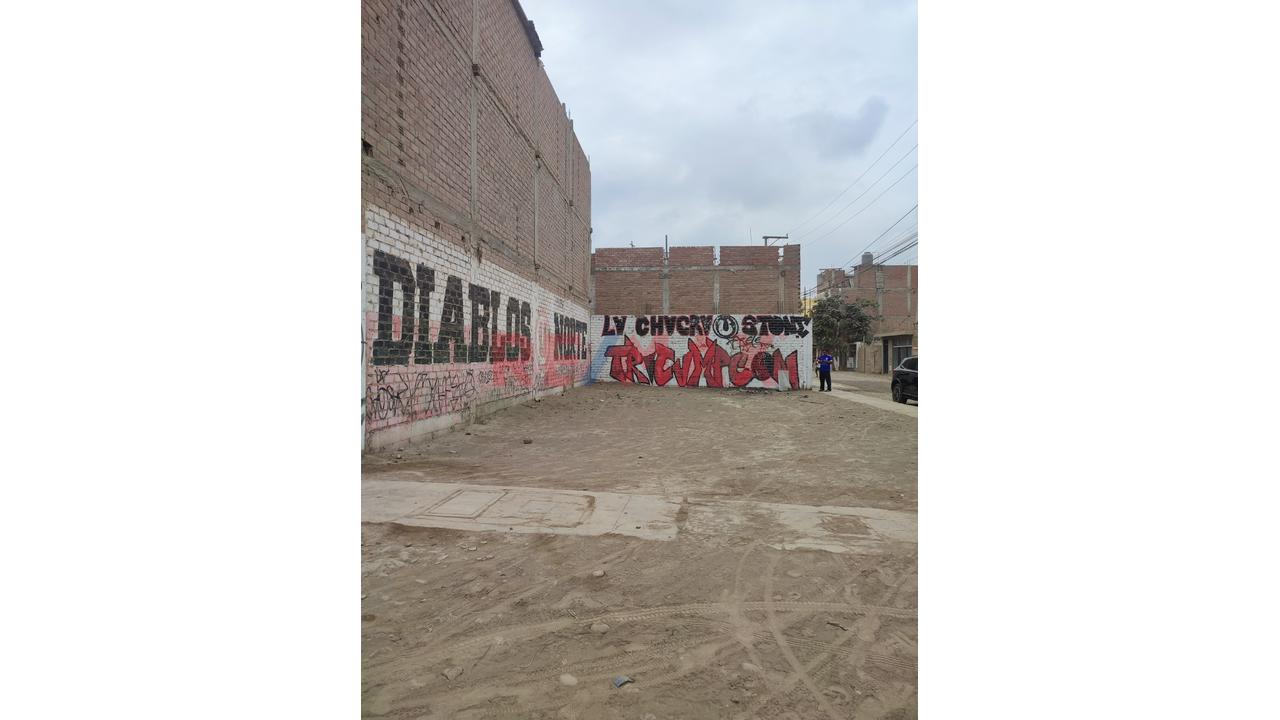¡Venta De Terreno Exclusivo En Esquina En Carabayllo - Urb. La Arboleda! - 7