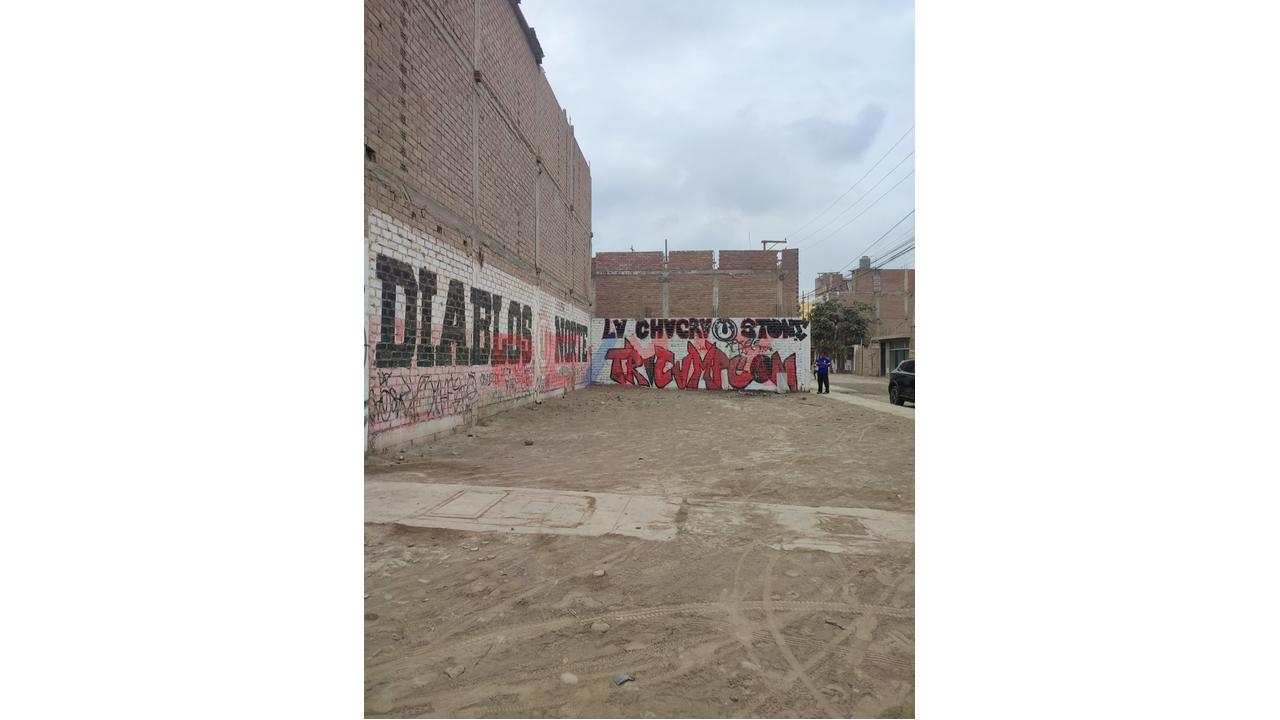 ¡Venta De Terreno Exclusivo En Esquina En Carabayllo - Urb. La Arboleda! - 4