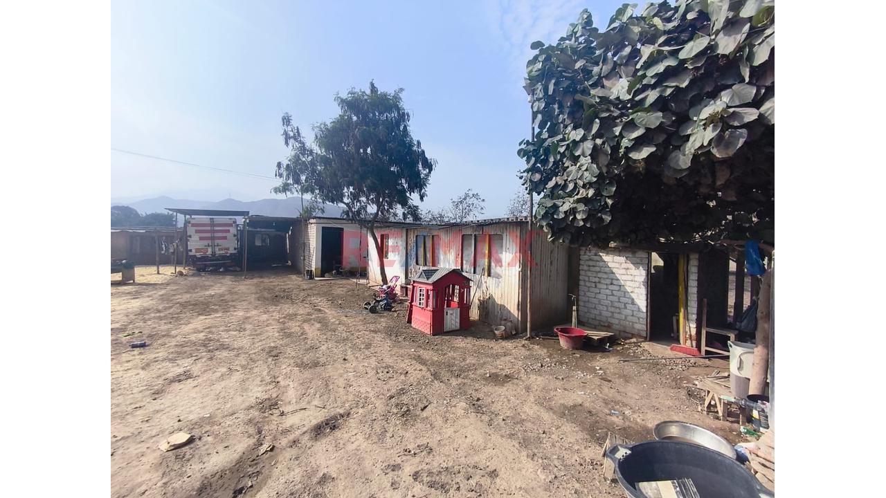 Venta De Terreno 1800M2 En Carabayllo Cerca Hacienda Punchauca En Misma Carretera - 6