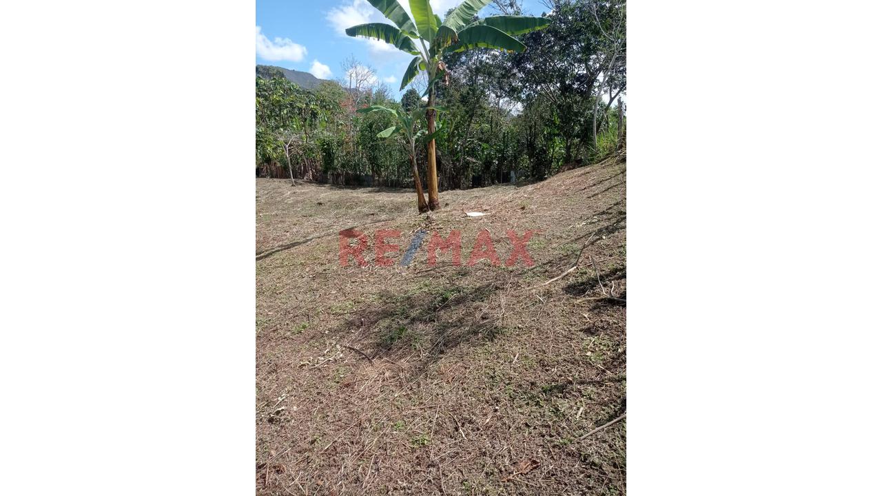 Vendo 2 Lotes En Moyobamba Inscritos En Registros Públicos - 2