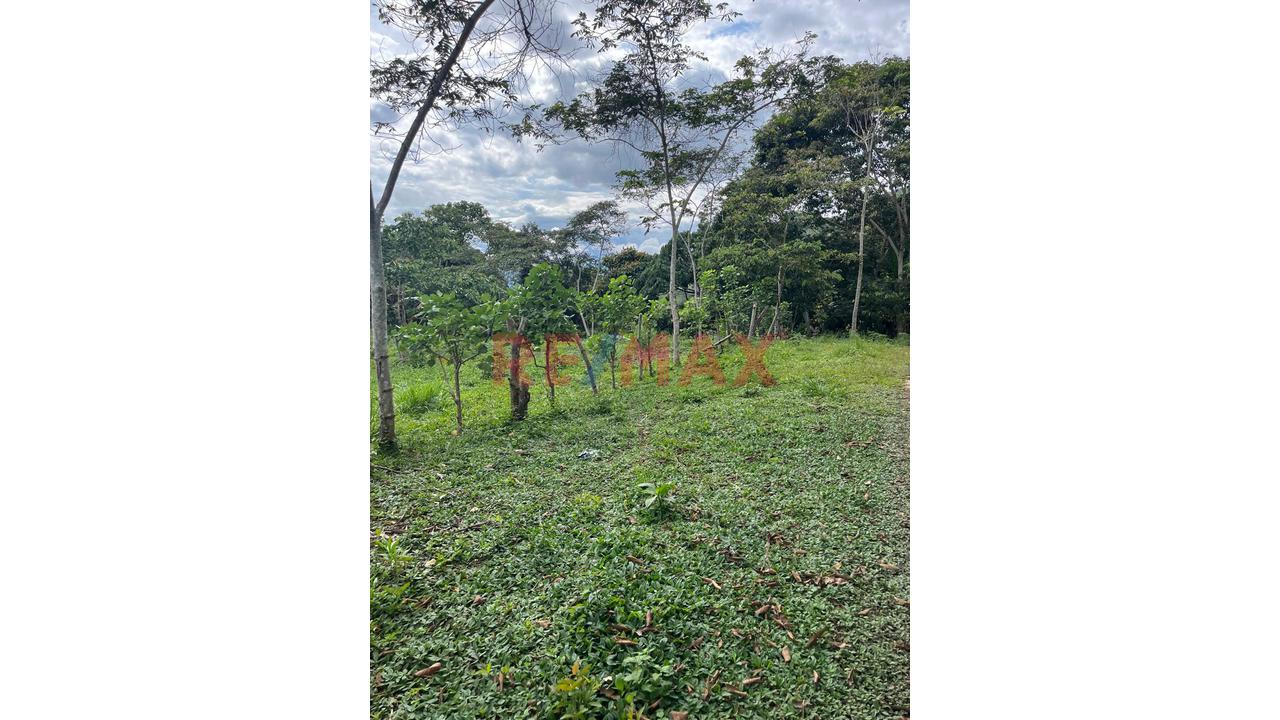 Vendo 2 Lotes En Moyobamba Inscritos En Registros Públicos - 3