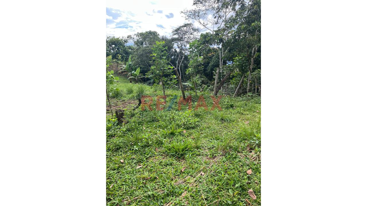 Vendo 2 Lotes En Moyobamba Inscritos En Registros Públicos - 9