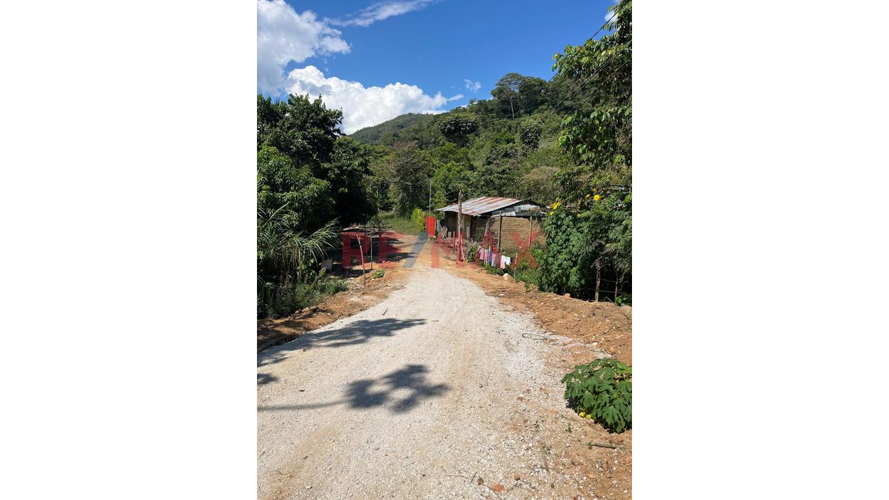 Vendo 2 Lotes En Moyobamba Inscritos En Registros Públicos - 4