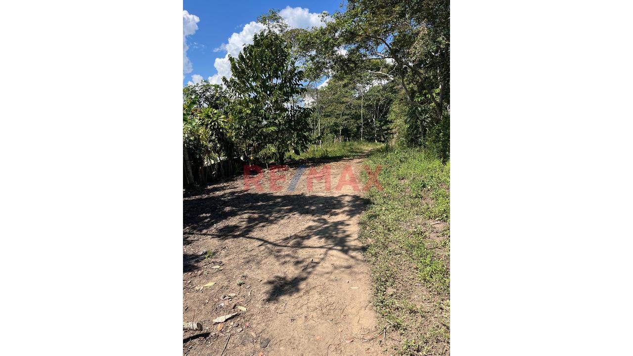 Vendo 2 Lotes En Moyobamba Inscritos En Registros Públicos - 1
