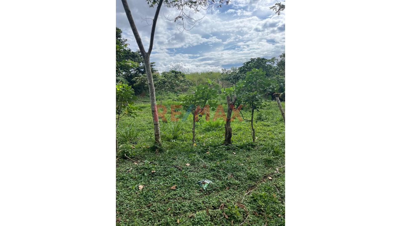 Vendo 2 Lotes En Moyobamba Inscritos En Registros Públicos - 8