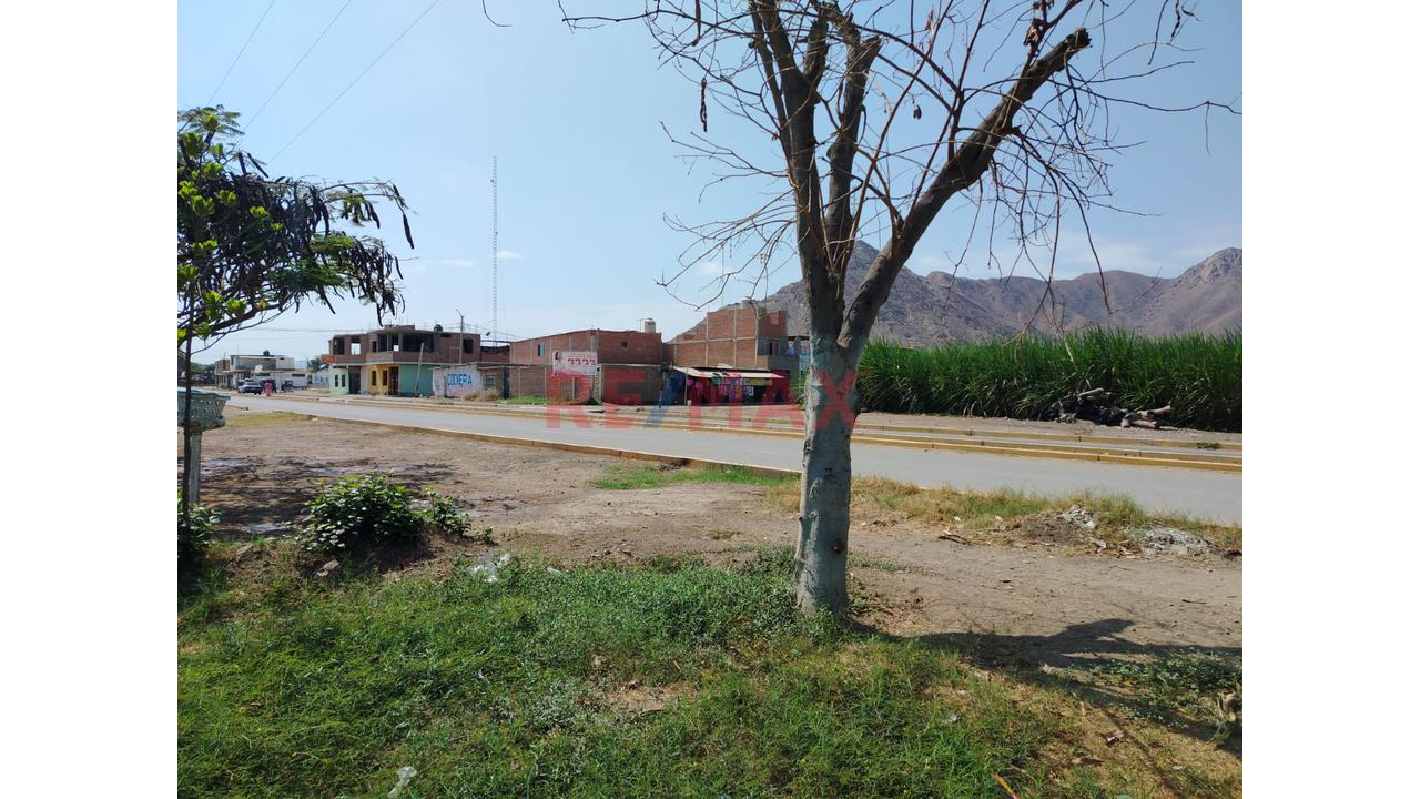 Casona A Precio De Terreno En Venta Saltur Zaña Chiclayo - 16