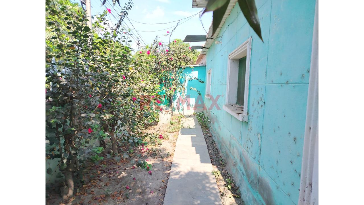 Casona A Precio De Terreno En Venta Saltur Zaña Chiclayo - 4