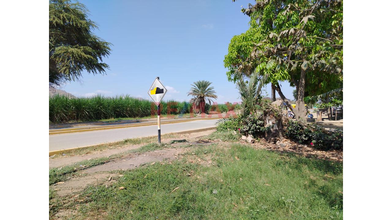 Casona A Precio De Terreno En Venta Saltur Zaña Chiclayo - 17