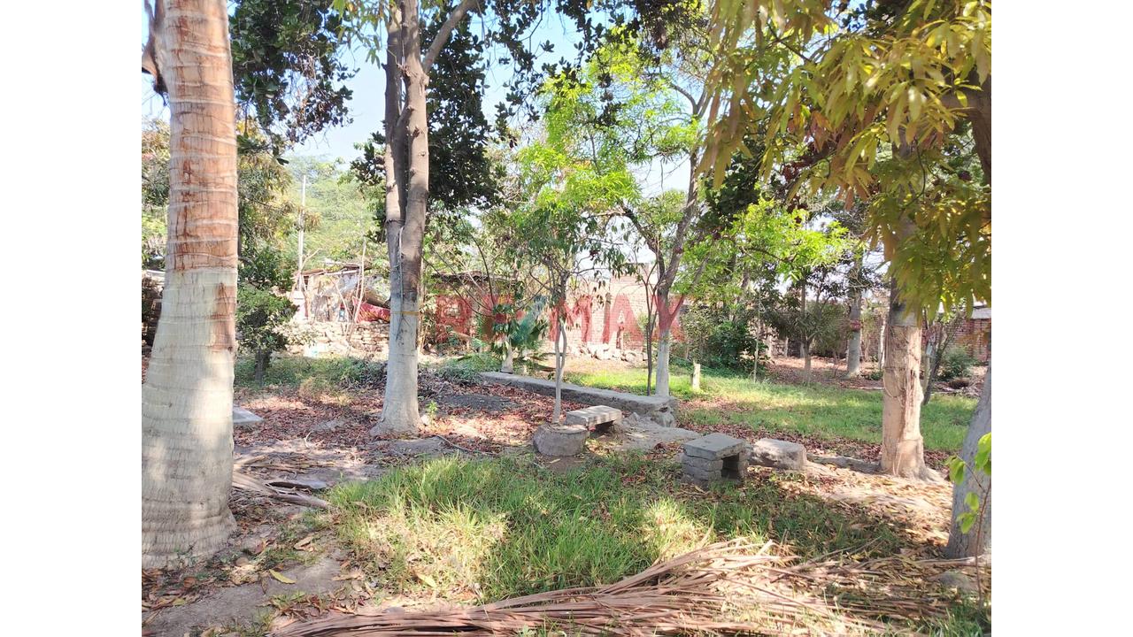 Casona A Precio De Terreno En Venta Saltur Zaña Chiclayo - 11