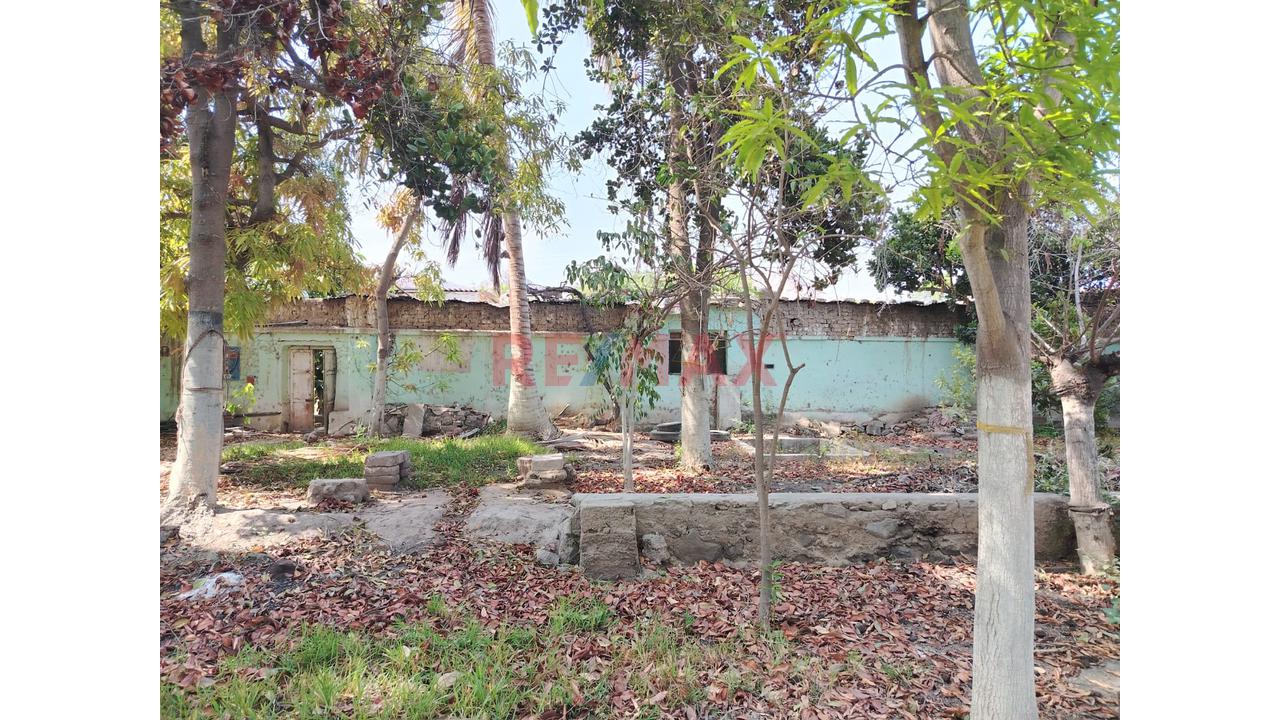 Casona A Precio De Terreno En Venta Saltur Zaña Chiclayo - 14