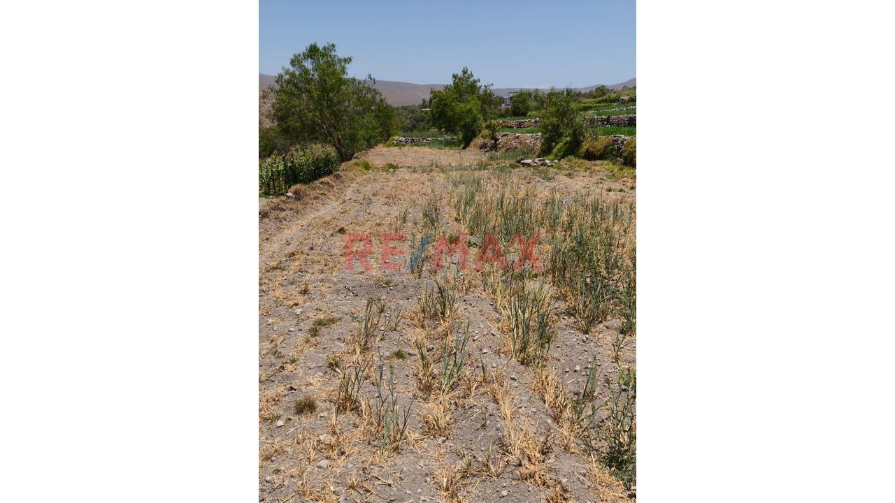 Terreno Agrícola En Characato Cerca A La Picanteria La Guardiana - 3
