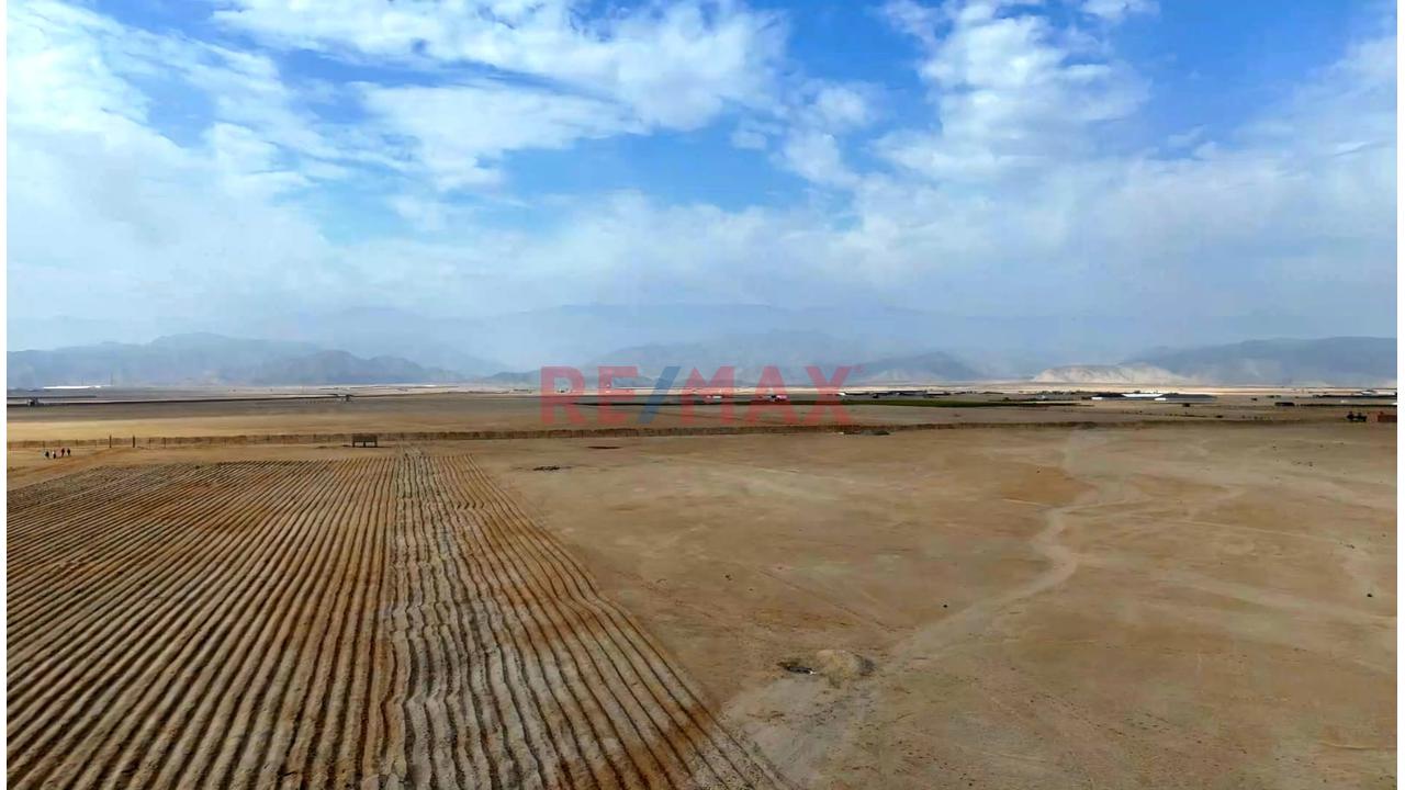 Vendo Terreno De 12.6 Ha. (126,000 M2.) En Chincha - 7