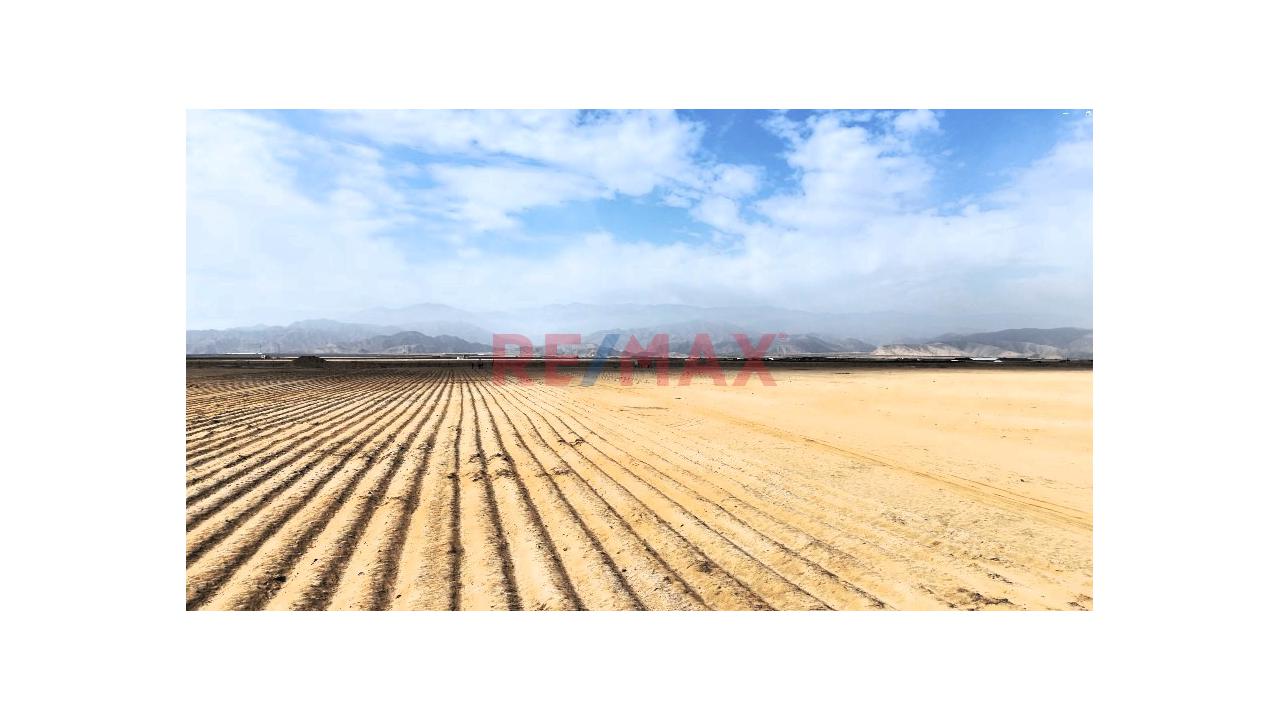 Vendo Terreno De 12.6 Ha. (126,000 M2.) En Chincha - 5