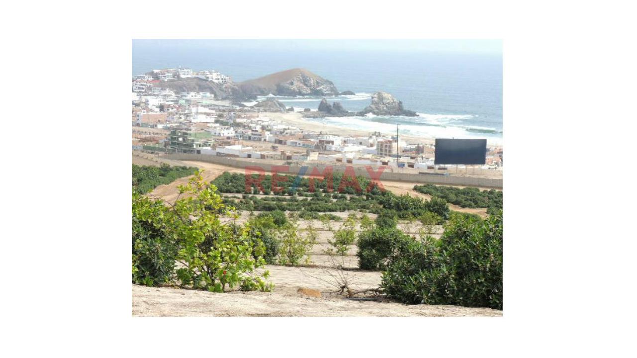 🏡 ¡Vendo Terreno Con Anteproyecto En Condominio Mar Y Bosques En Punta Negra! - 4