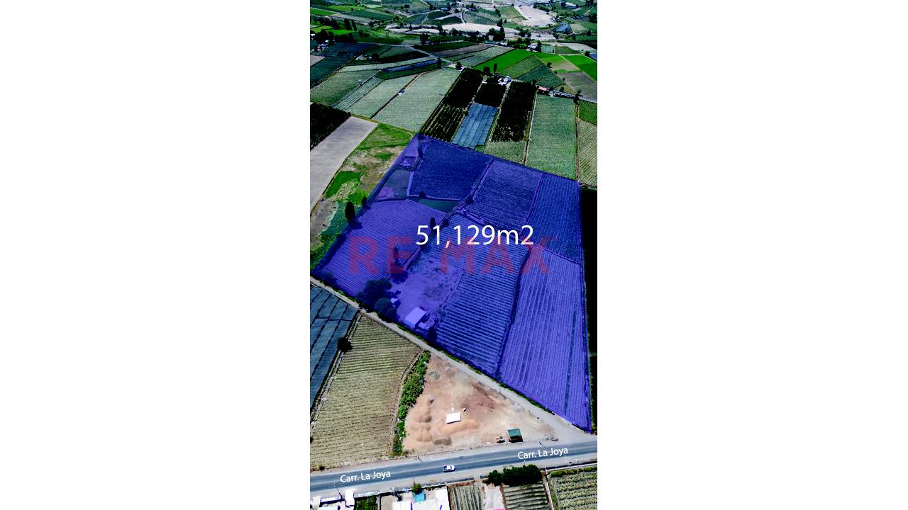 ¡Terreno En Venta En La Joya – Arequipa! 🌿 - 4
