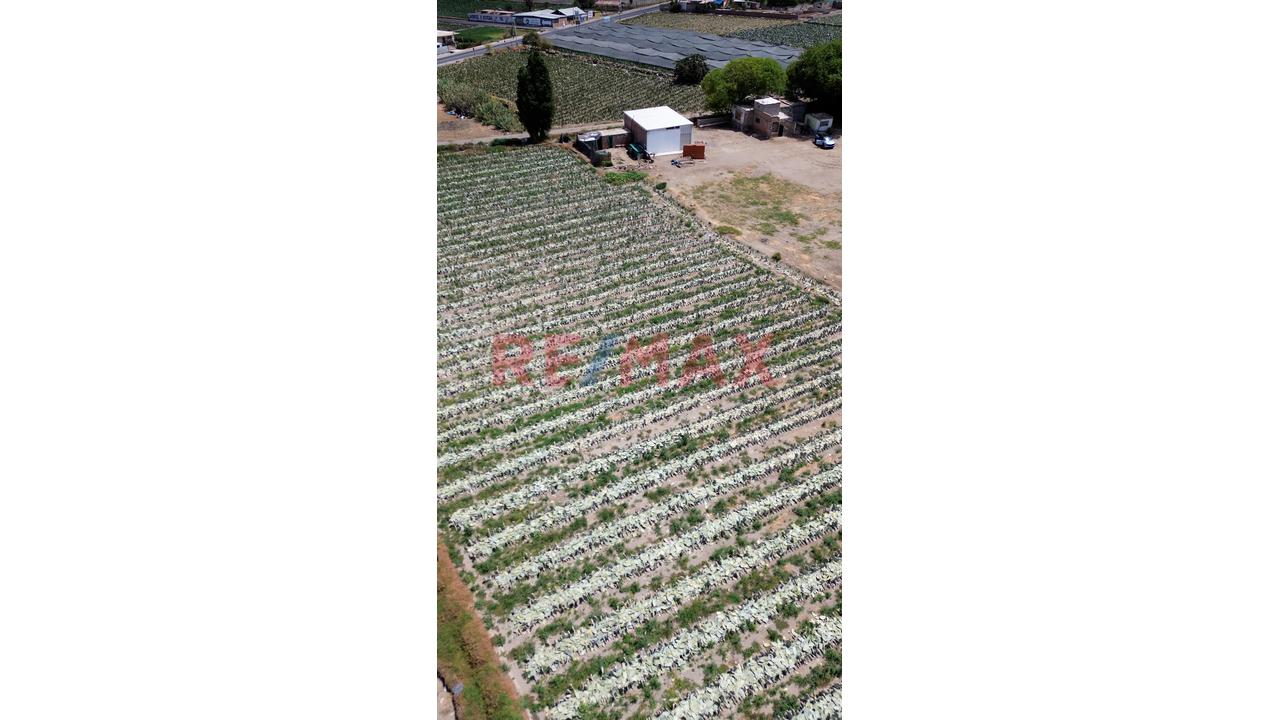 ¡Terreno En Venta En La Joya – Arequipa! 🌿 - 5