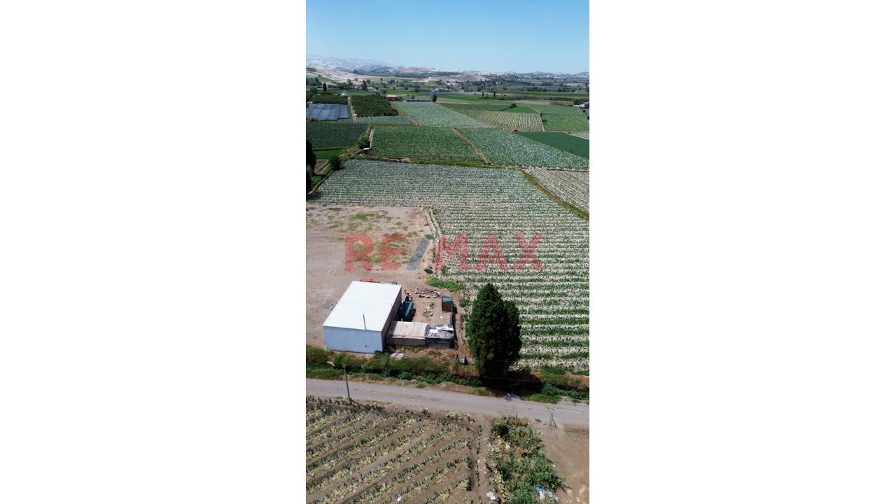 ¡Terreno En Venta En La Joya – Arequipa! 🌿 - 3