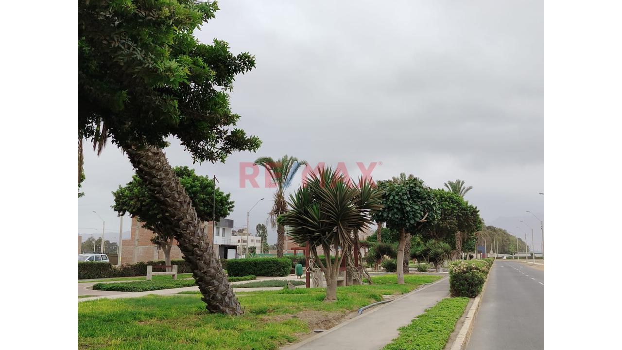 Venta De Terreno En Cond. Alameda Sur De Chilca - 3