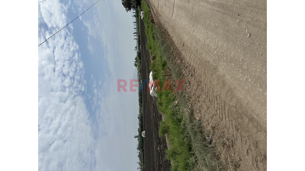 Terreno En Venta En Huaral – Fundo El Sol - 6
