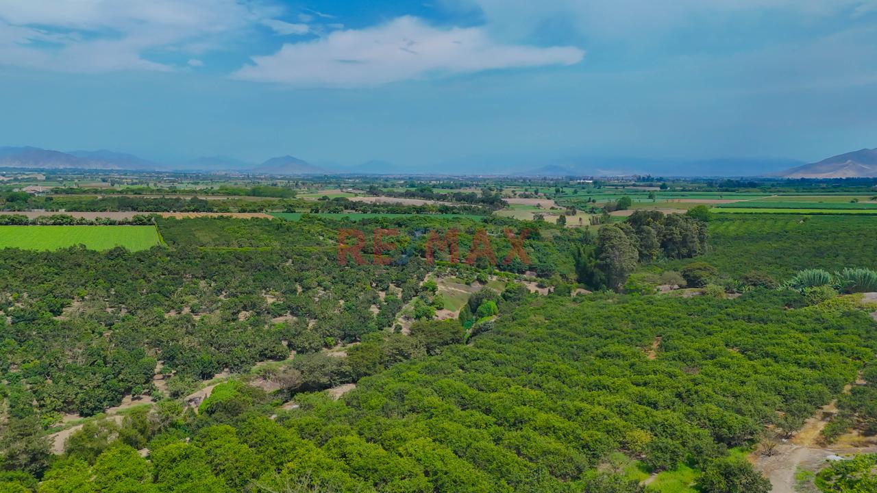 🏡 400.08 M² Para Proyectar Tu Futura Casa De Campo | Chancay - 6