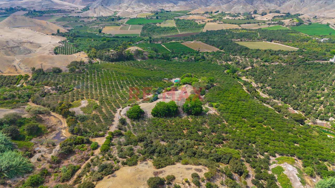 🏡 400.08 M² Para Proyectar Tu Futura Casa De Campo | Chancay - 3