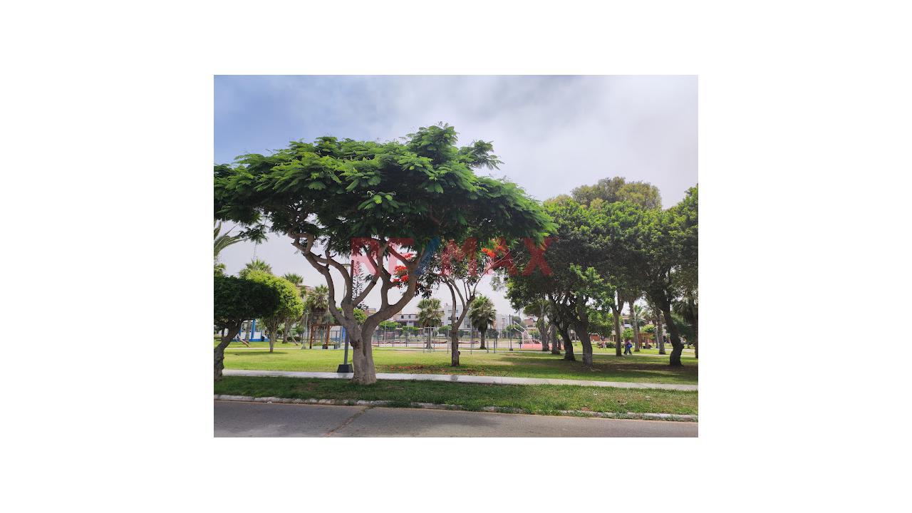 Vendo Departamento En San Miguel — foto 11