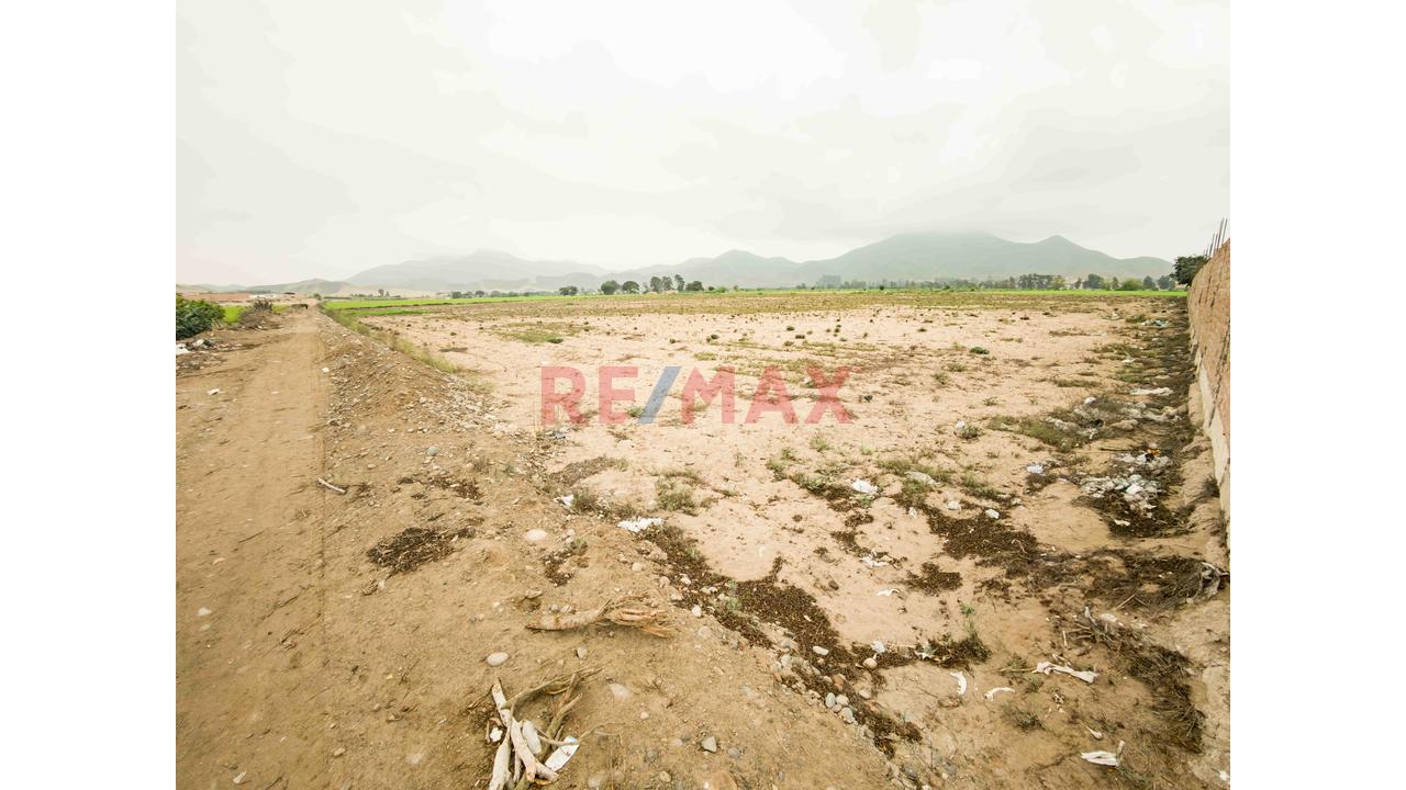 Ocasión!! 🏗️ Venta De Terreno Industrial Zi 2 De 7 Hectareas Ubicado En La Panamericana Norte Km 97 – Cerca Al Mega Puerto De Chancay - 7