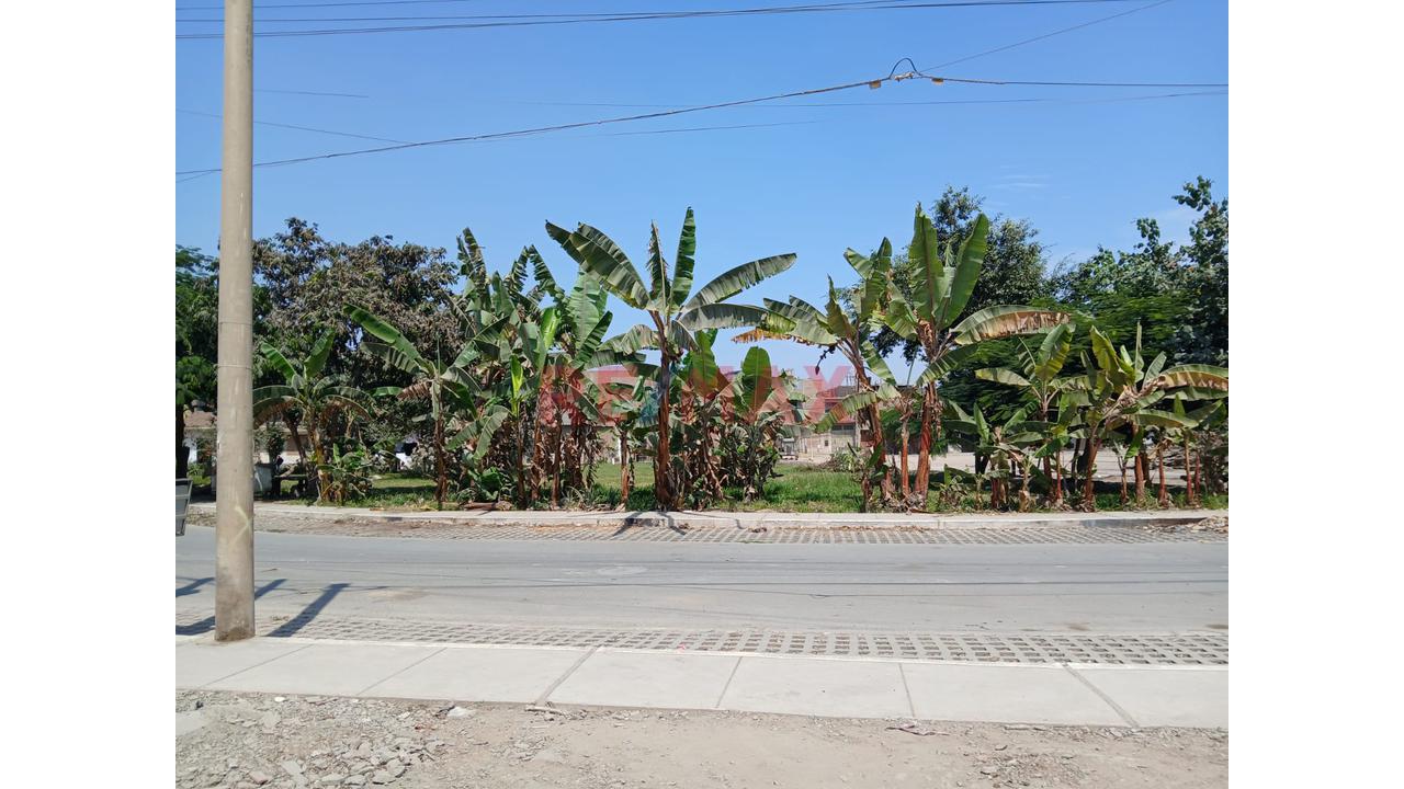 🏡🌳 ¡Vendo Terreno De 172.40 M² Frente A Parque En San Martín De Porres! - 4