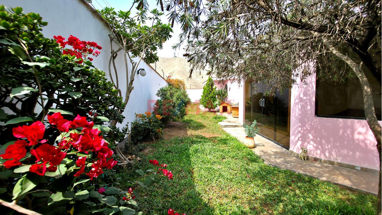 Alquilo Casa En La Planicie - 21